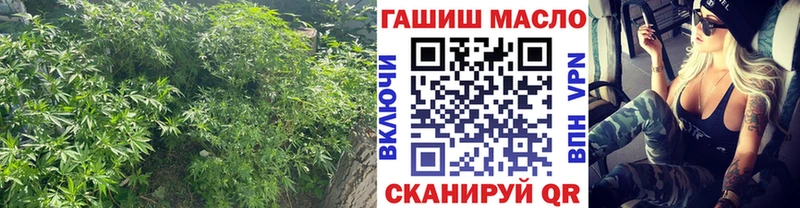 ТГК концентрат  shop формула  Туринск  где найти наркотики 