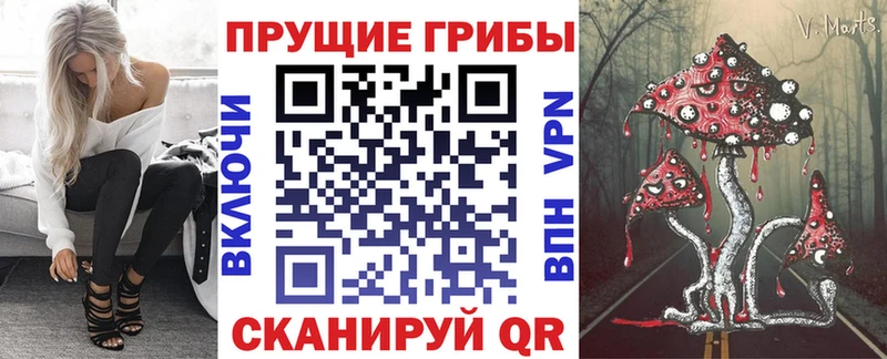 Псилоцибиновые грибы ЛСД Туринск